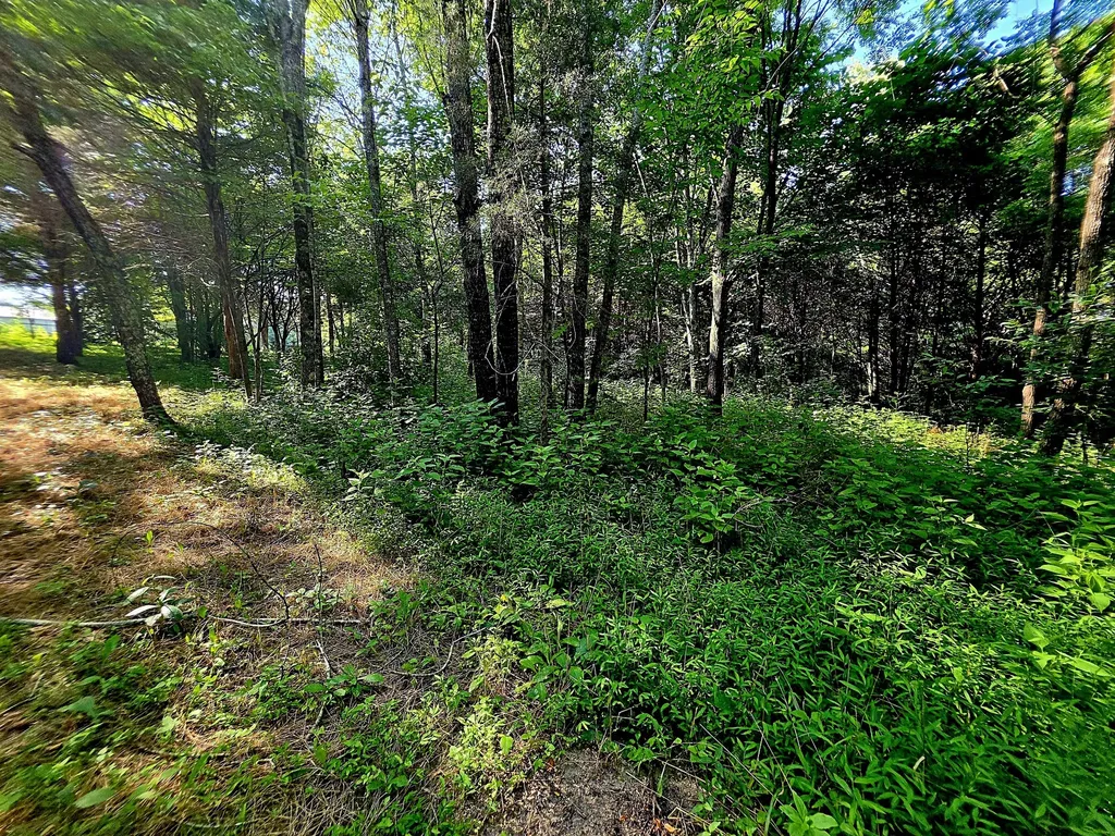 0 Tulip Lane Cookeville TN 38501