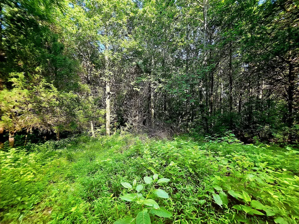 0 Tulip Lane Cookeville TN 38501