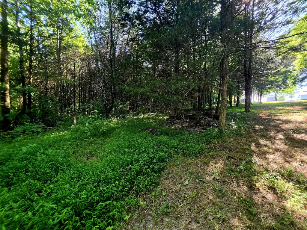 0 Tulip Lane Cookeville TN 38501