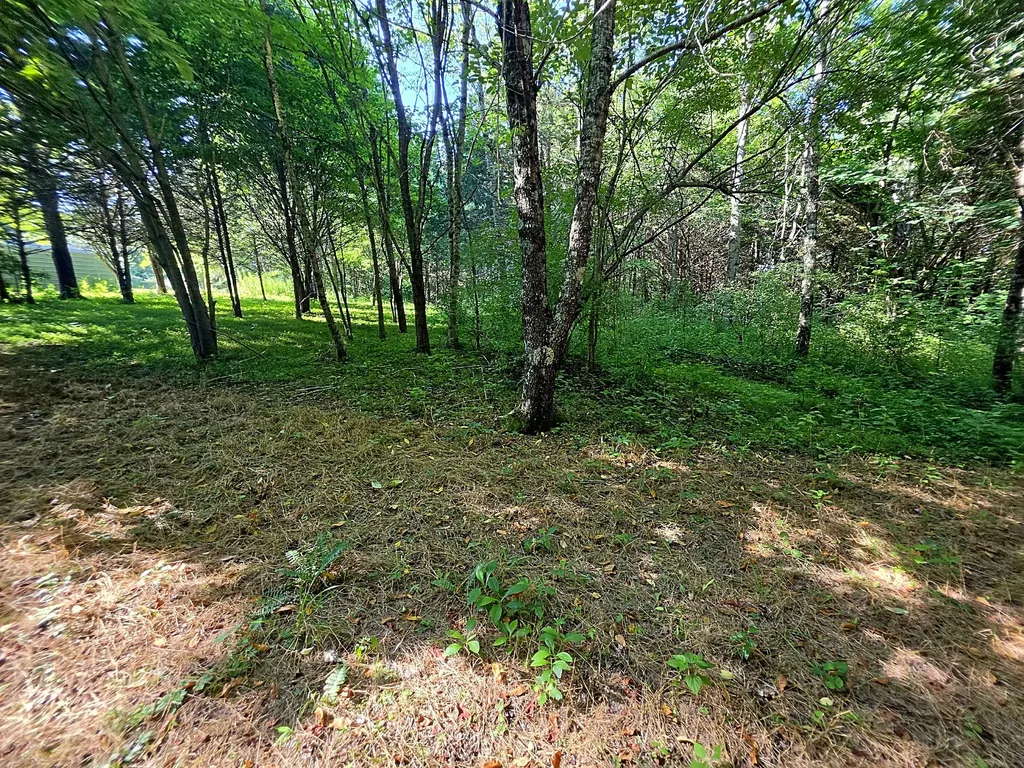 0 Tulip Lane Cookeville TN 38501