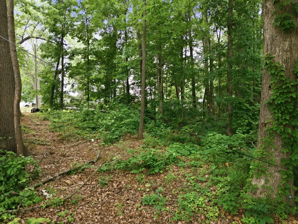 3811 Old Greenbrier Pike Springfield TN 37172