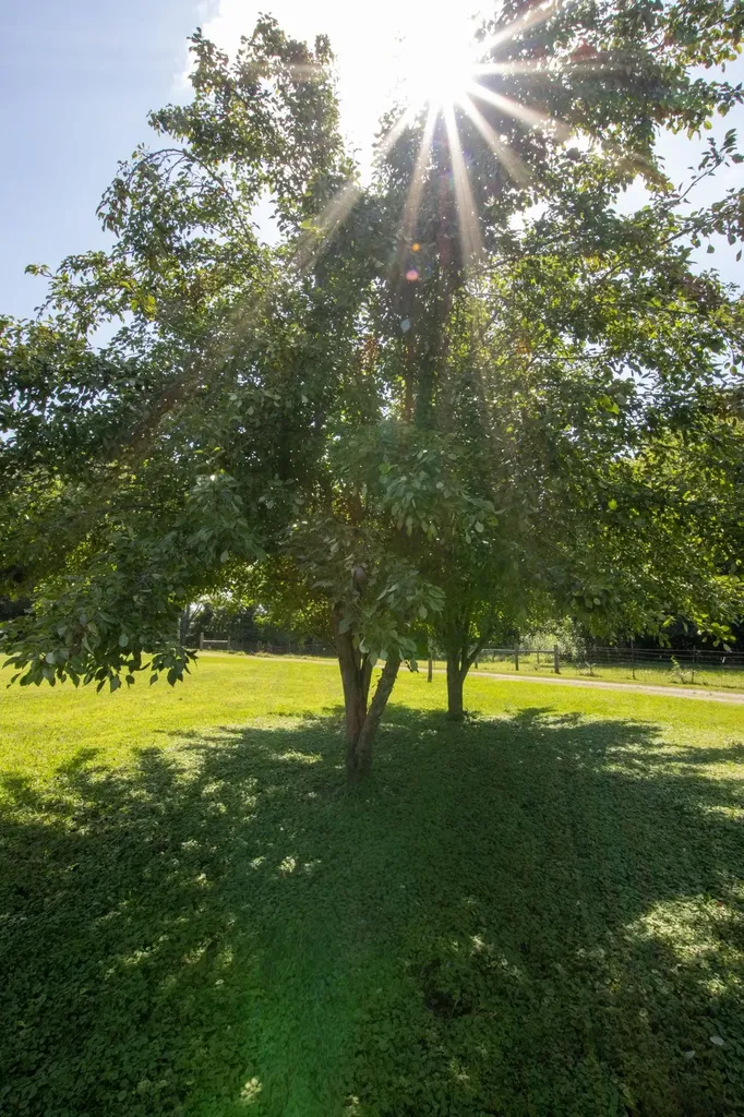 148 Wade Jennings Road Shelbyville TN 37160