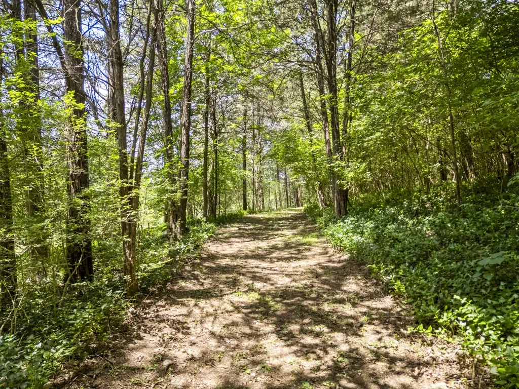 0 Cayce Lane Columbia TN 38401