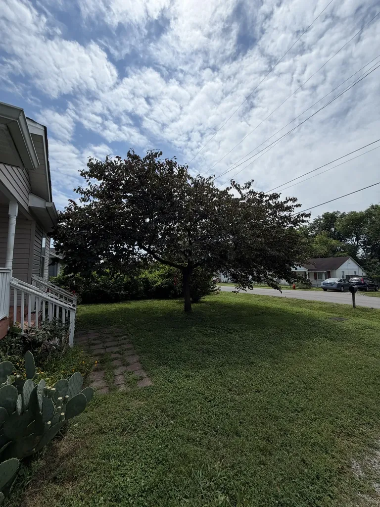 82 Elberta Street Nashville TN 37210