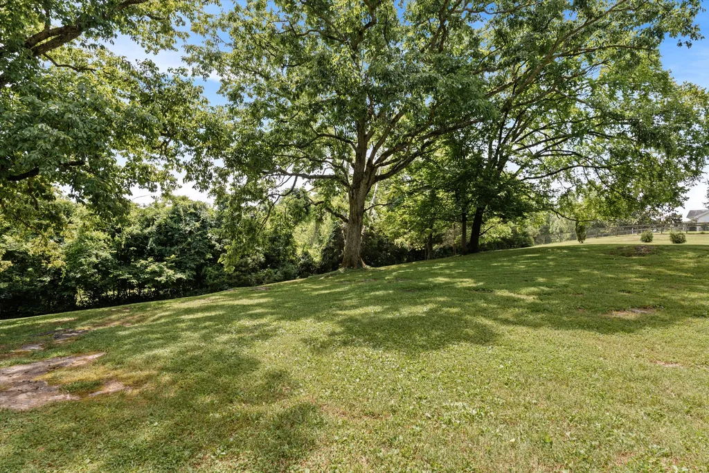 8487 Del Thomas Road Smyrna TN 37167