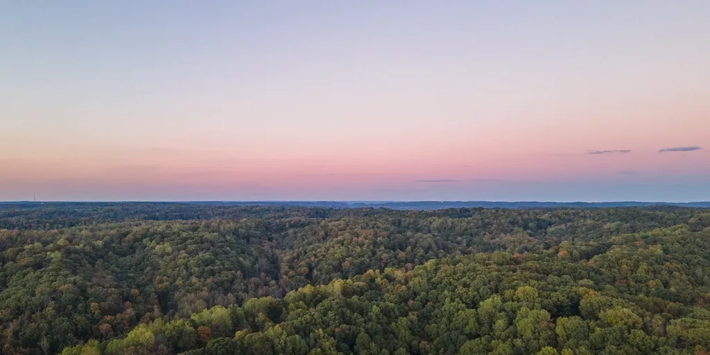 163 Berry Hunter Lane Franklin TN 37067