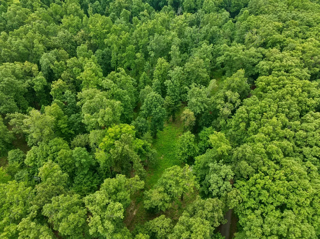 0 Elrod Road Fairview TN 37062