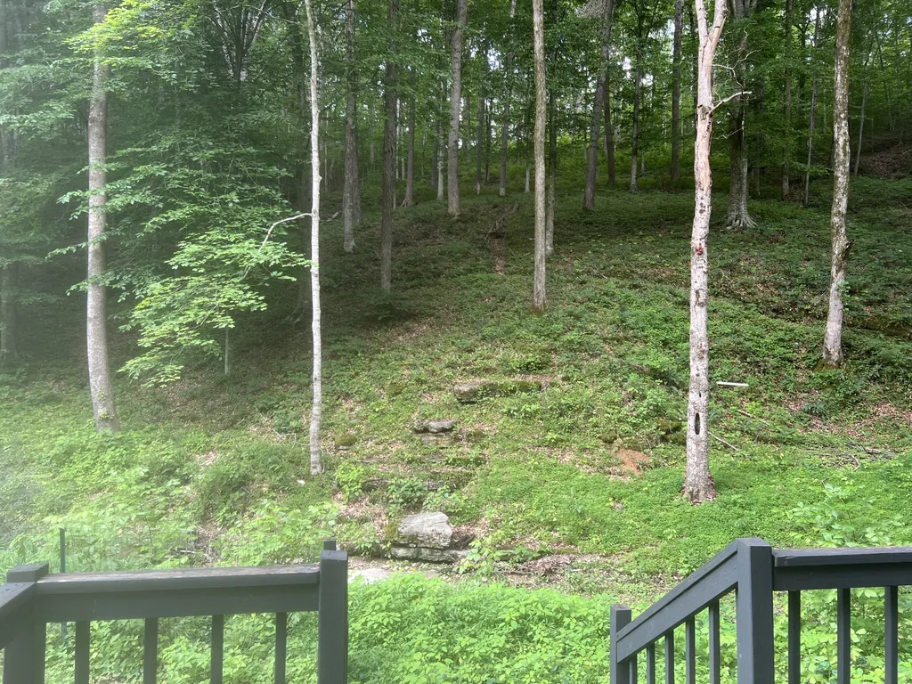 1051 Green Valley Drive Ashland City TN 37015