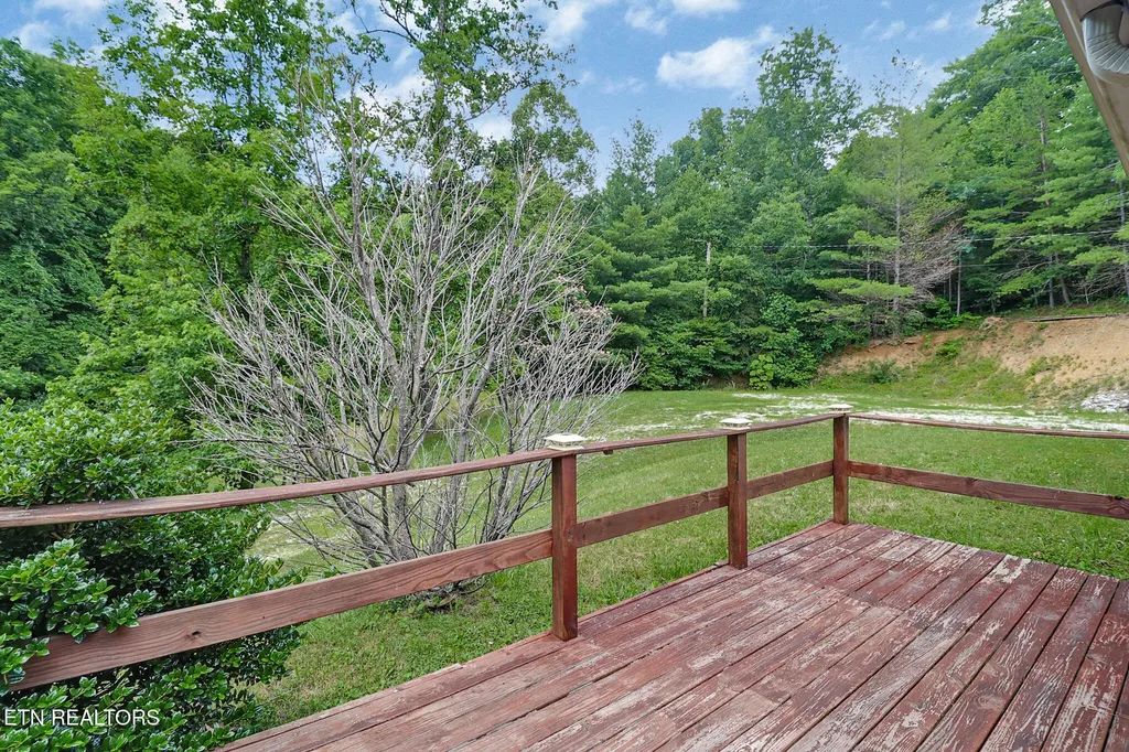 395 Ashley Lane Oneida TN 37841