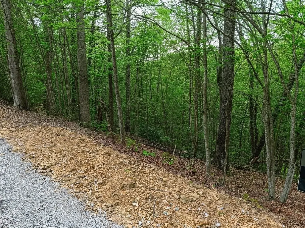 273 Tennis Center Drive Smithville TN 37166