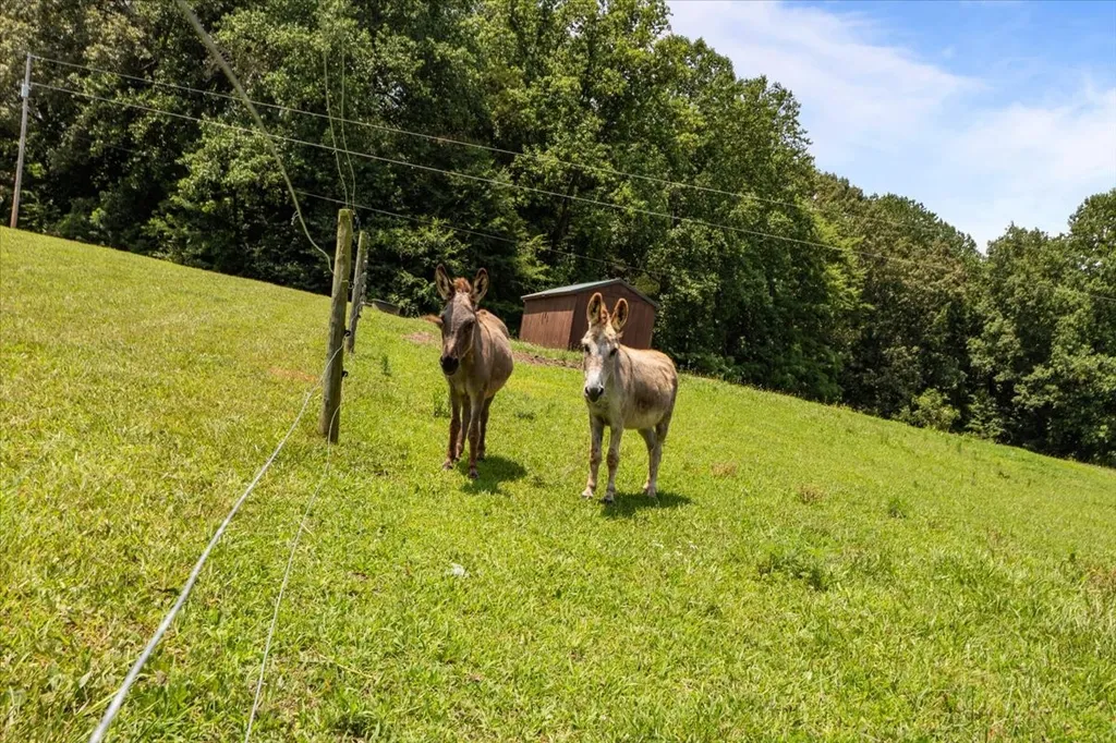 4251 Spring Valley Road Cumberland City TN 37050