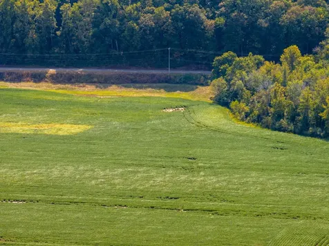 0 Highway 49, W Ashland City TN 37015