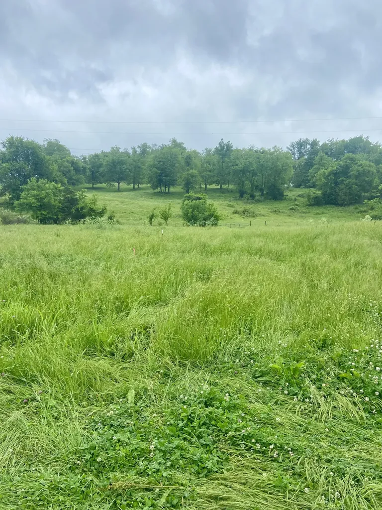 0 Mclaughlin Lane Shelbyville TN 37160