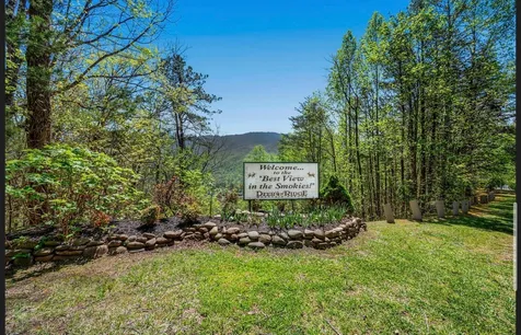 3710 Weber Road Gatlinburg TN 37738