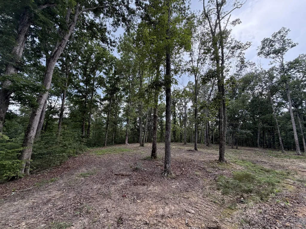0 Hwy 50 East Centerville TN 37033