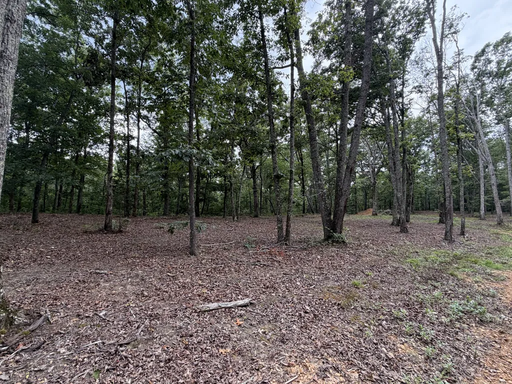 0 Hwy 50 East Centerville TN 37033