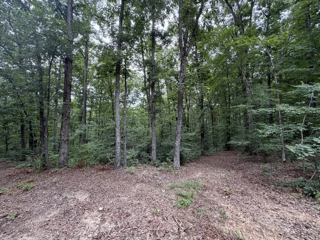 0 Hwy 50 East Centerville TN 37033