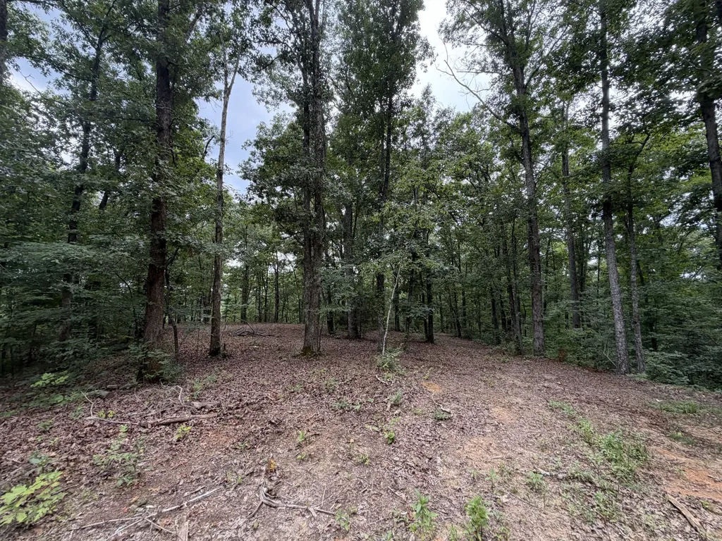 0 Hwy 50 East Centerville TN 37033