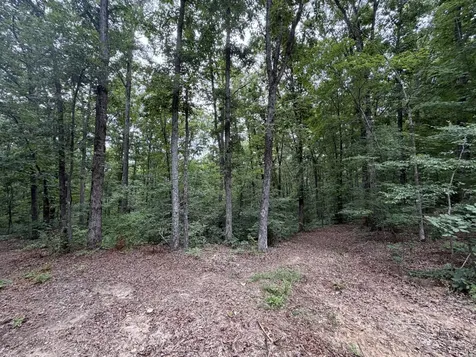 0 Hwy 50 East Centerville TN 37033