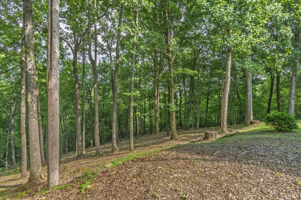 3608 Sams Creek Road Pegram TN 37143