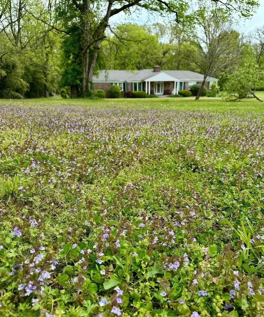 853 Pasadena Drive Nashville TN 37204