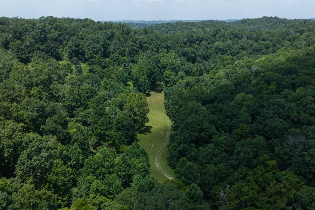 517 Collier Lane Gallatin TN 37066
