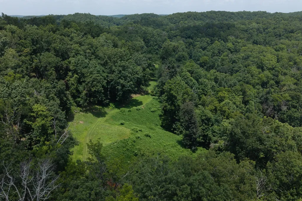 517 Collier Lane Gallatin TN 37066