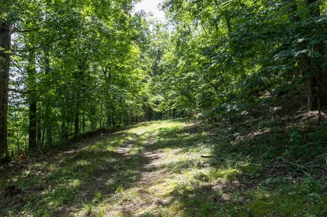 517 Collier Lane Gallatin TN 37066