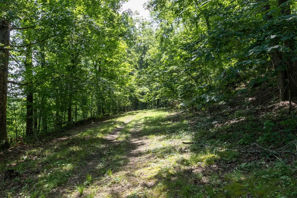 517 Collier Lane Gallatin TN 37066
