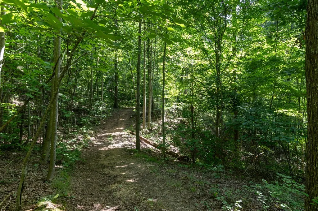 517 Collier Lane Gallatin TN 37066