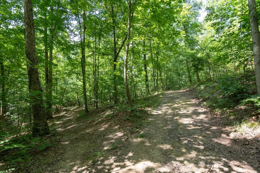 517 Collier Lane Gallatin TN 37066