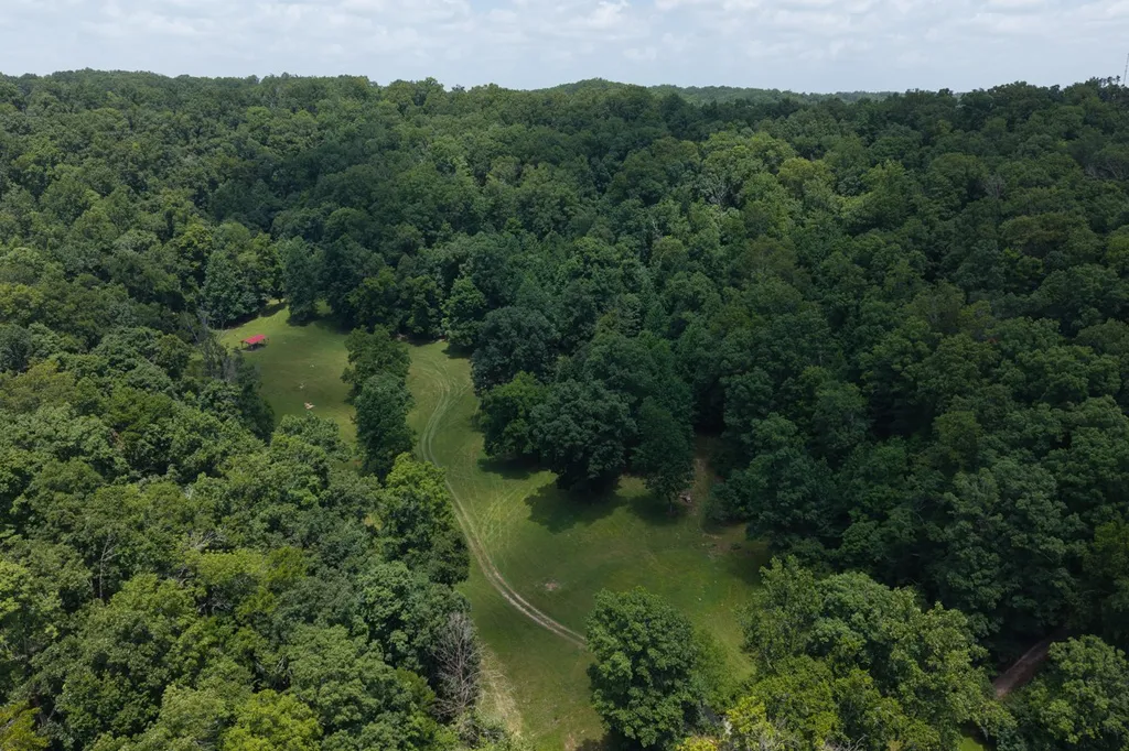 517 Collier Lane Gallatin TN 37066
