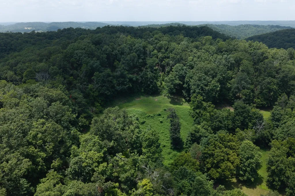 517 Collier Lane Gallatin TN 37066