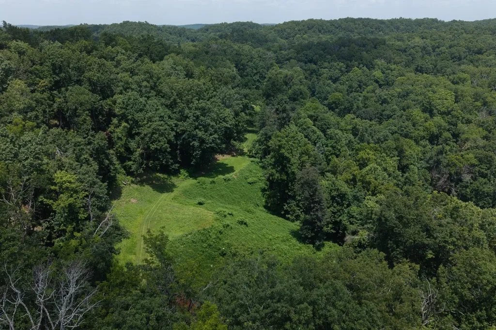 517 Collier Lane Gallatin TN 37066