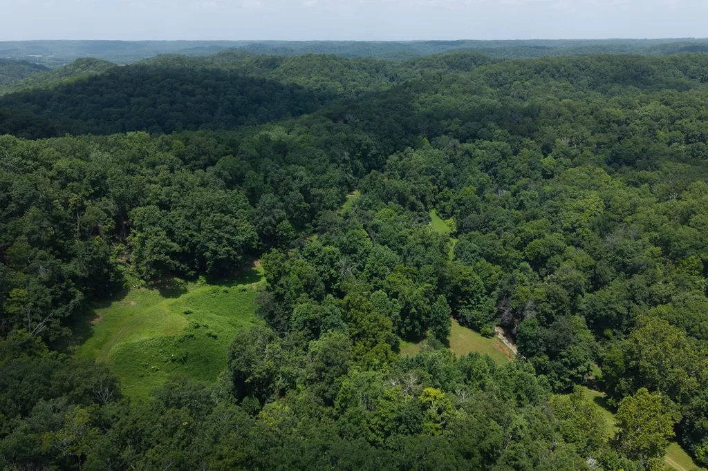 517 Collier Lane Gallatin TN 37066