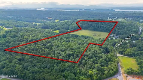 1246 Deep Springs Road Dandridge TN 37725