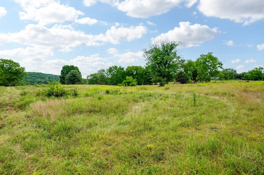 0 Haley Road Watertown TN 37184