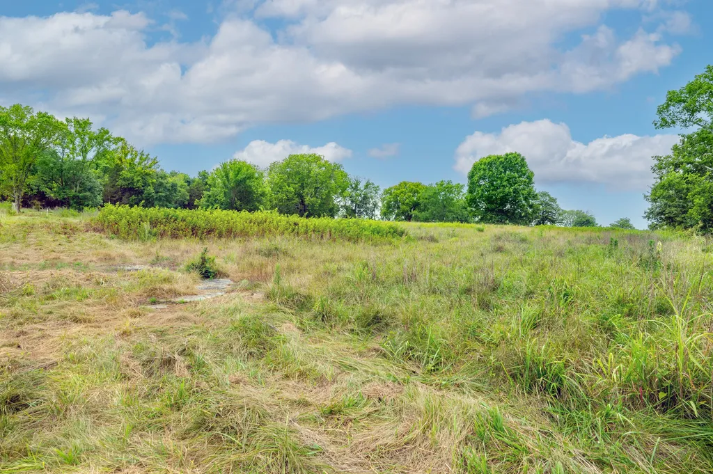 0 Haley Road Watertown TN 37184