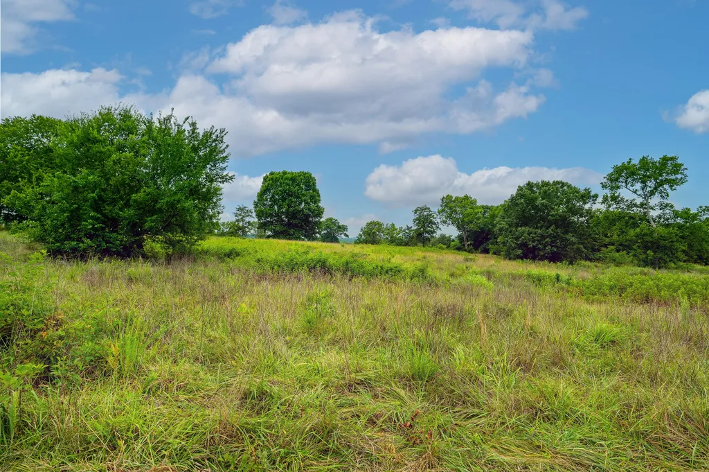 0 Haley Road Watertown TN 37184