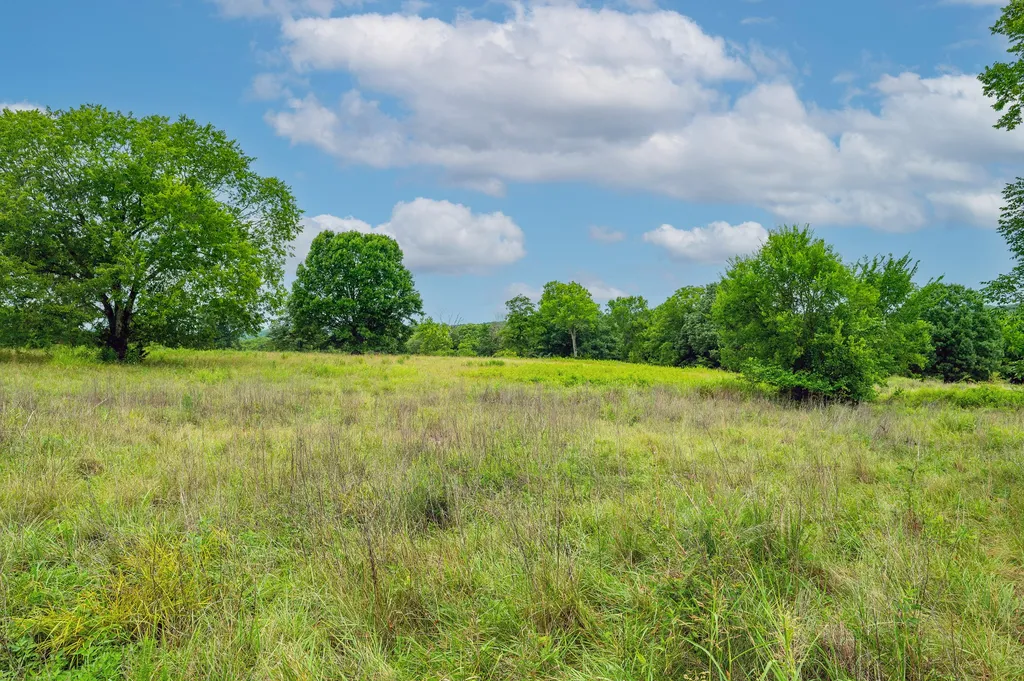 0 Haley Road Watertown TN 37184