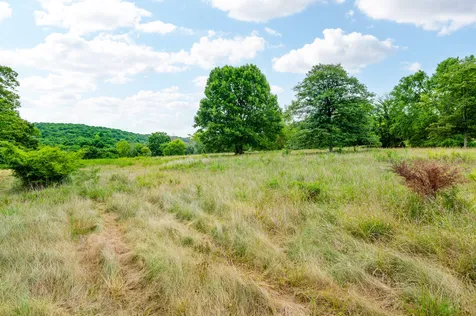 0 Haley Road Watertown TN 37184