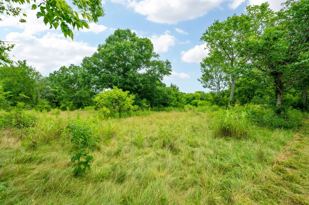 0 Haley Road Watertown TN 37184