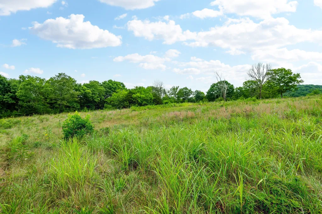 0 Haley Road Watertown TN 37184