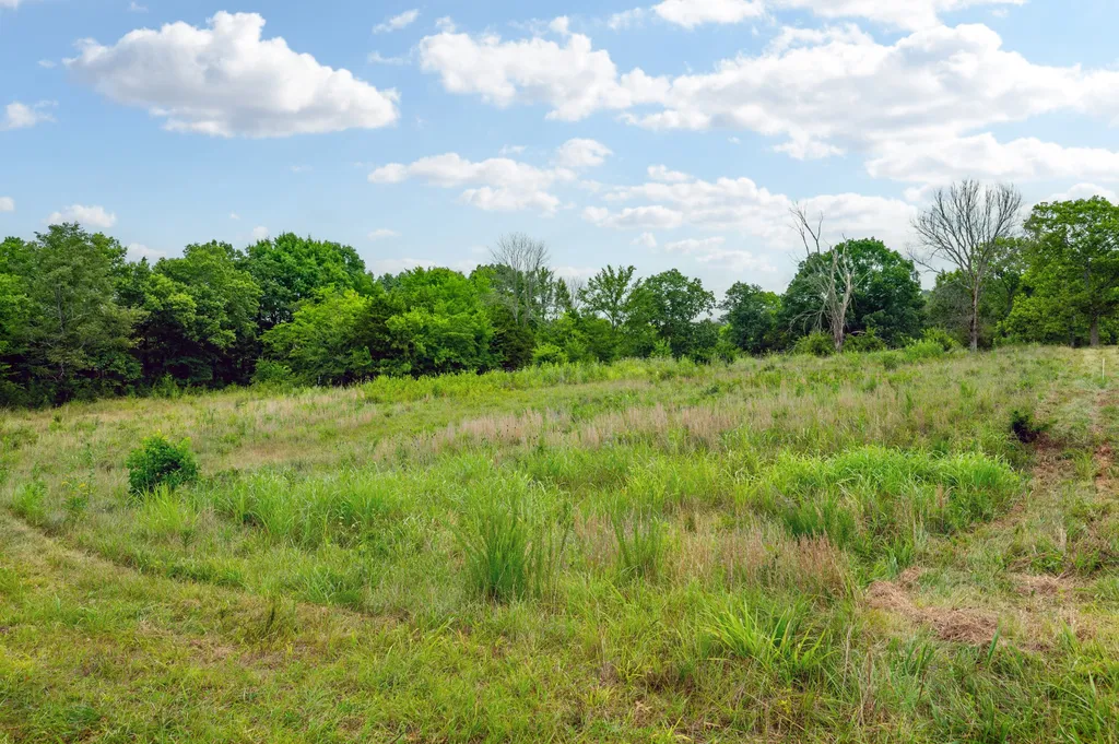 0 Haley Road Watertown TN 37184