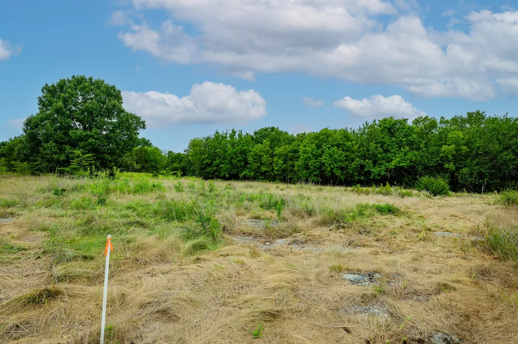 0 Haley Road Watertown TN 37184