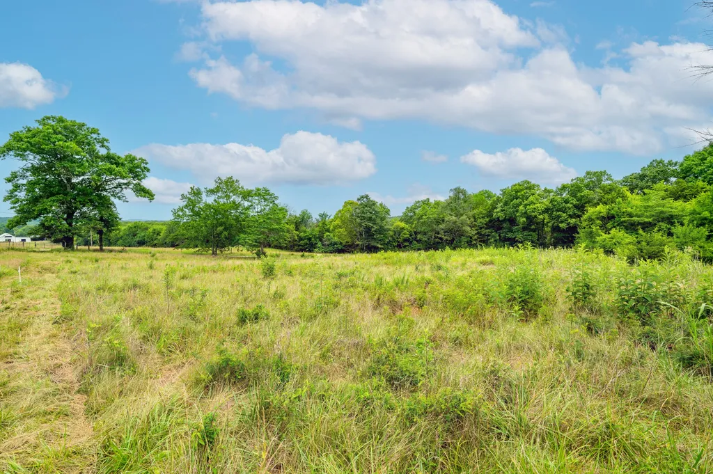 0 Haley Road Watertown TN 37184