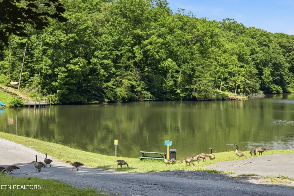 578 Retreat Drive Crossville TN 38572