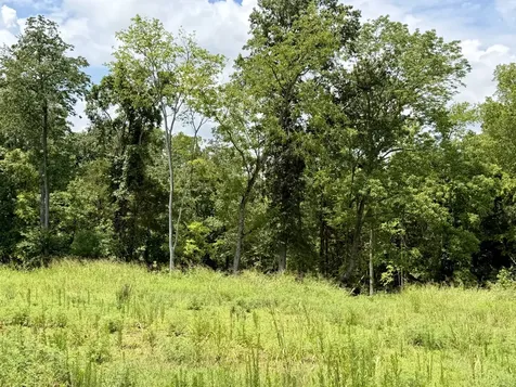 2054 Daniel Johnson Way Clarksville TN 37043