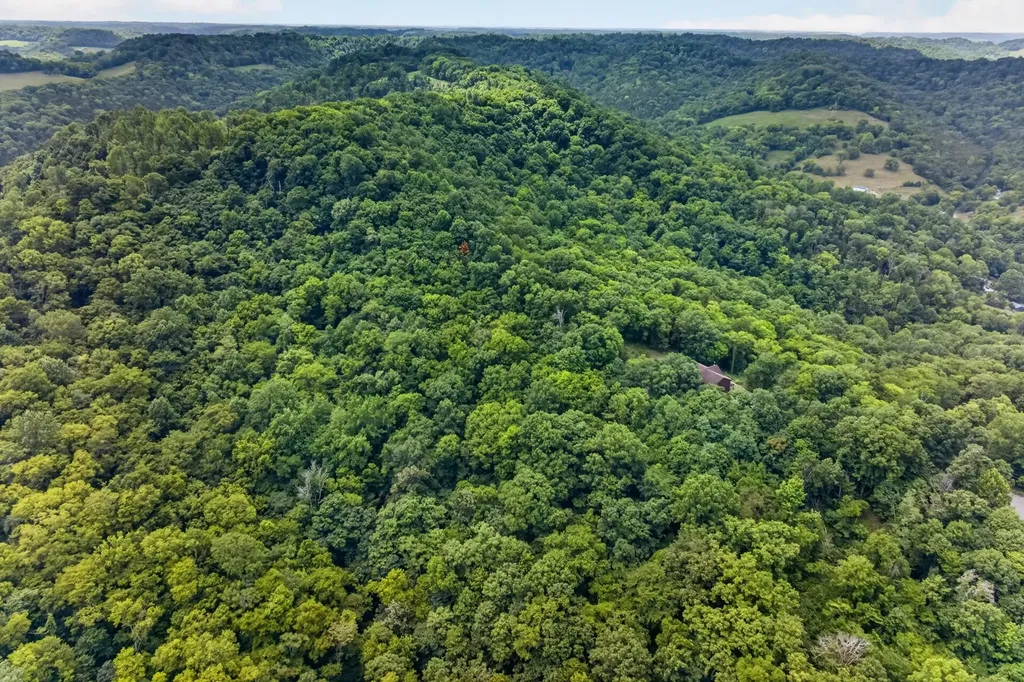 20 Magee Lane Elmwood TN 38560