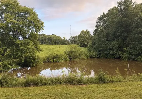 181 Hayes Ridge Road Indian Mound TN 37079